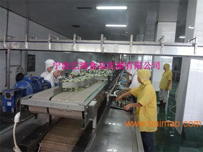 億鴻食品機械 以卓越品質與智能技術，引領魚罐頭瀝水機新標準